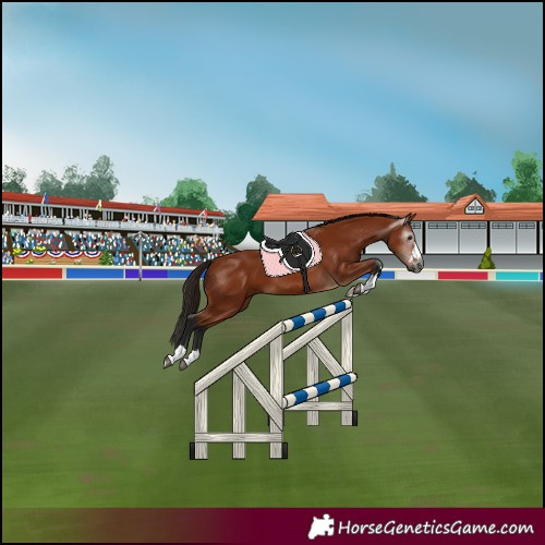 Horse Color:Gray Bay 