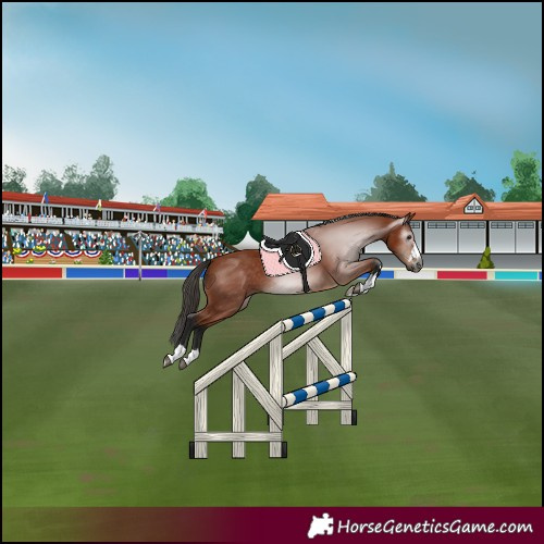 Horse Color:Gray Bay