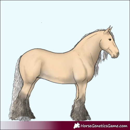 Horse Color:Silver Buckskin 