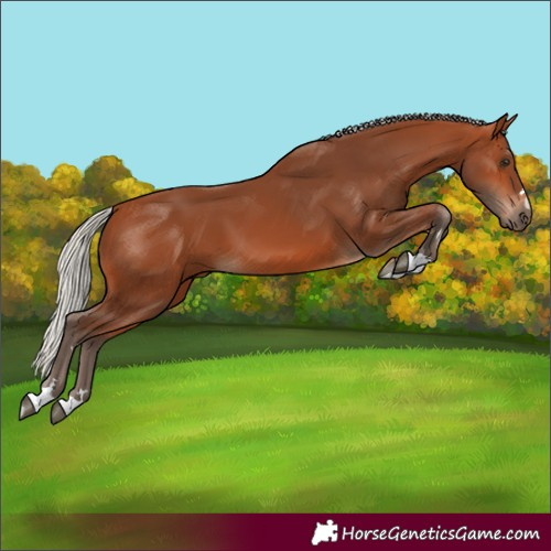 Horse Color:Silver Bay 