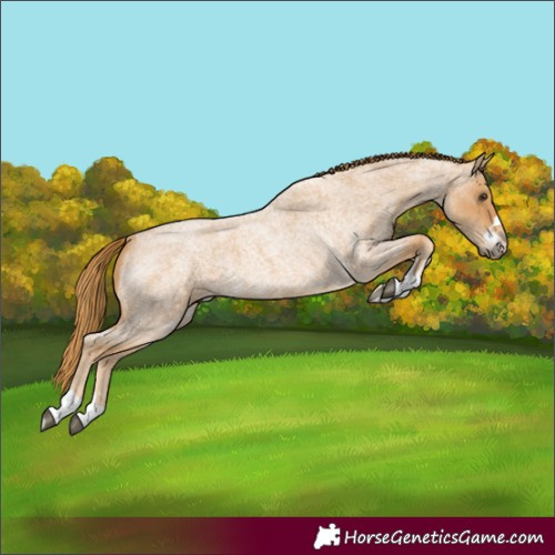 Horse Color:Red Roan