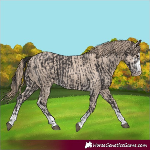 Horse Color:Smoky Black and Smoky Creme