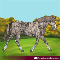Horse Color:Smoky Black  and Smoky Creme 