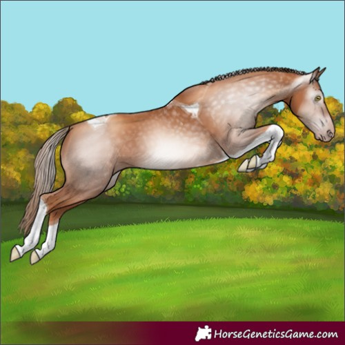 Horse Color:Gray Gold Champagne Tobiano