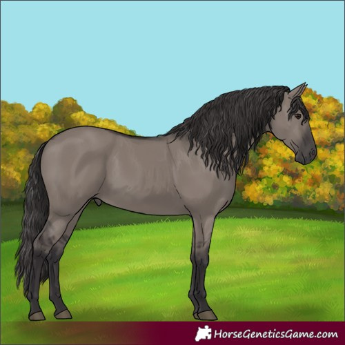 Horse Color:Smoky Grullo