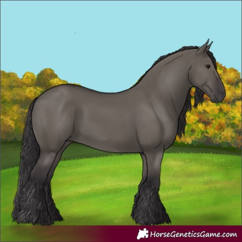 Horse Color:Smoky Grullo