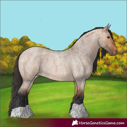 Horse Color:Bay Roan Dun 