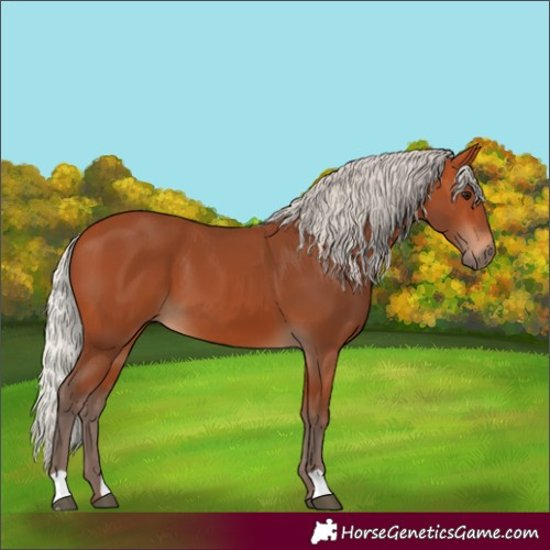 Horse Color:Silver Bay