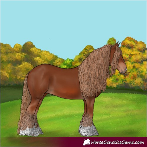 Horse Color:Chestnut 