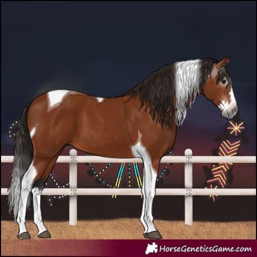 Horse Color:Gray Bay Splash Tobiano 