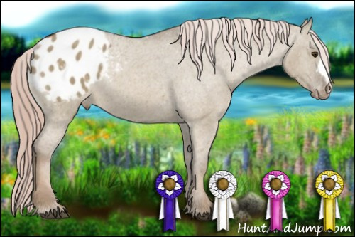 Horse Color:Chocolate Palomino Dun Varnish 