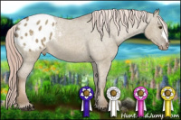 Horse Color:Chocolate Palomino Dun Varnish 