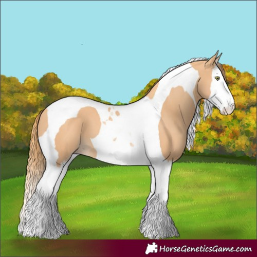 Horse Color:Gold Champagne Splash Tobiano 
