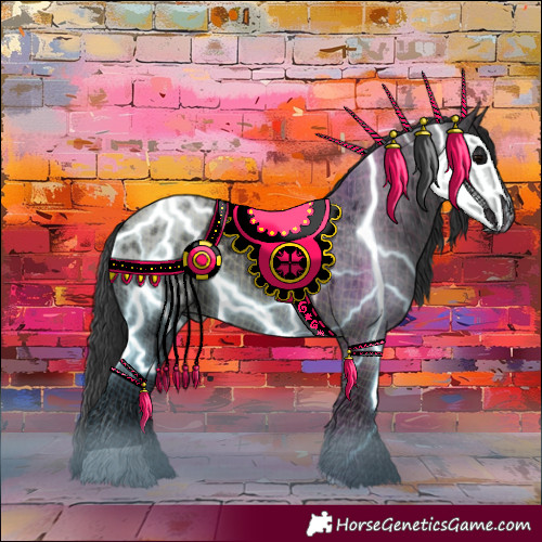 Horse Color:Blue Roan Appaloosa