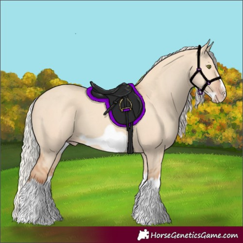 Horse Color:Silver Classic Champagne Dun Splash Frame 