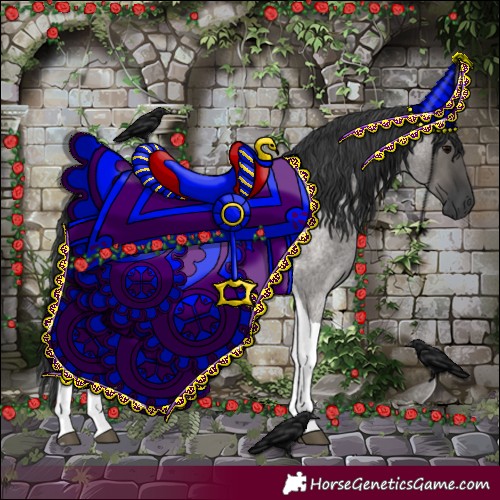 Horse Color:Grullo Roan Tobiano 