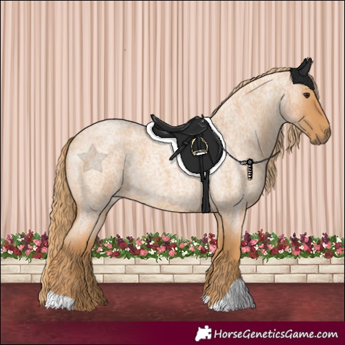 Horse Color:Red Roan