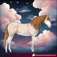 Horse Color:Red Dun Roan Splash Frame Rabicano