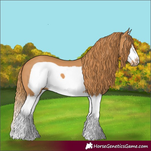 Horse Color:Chestnut Splash Frame