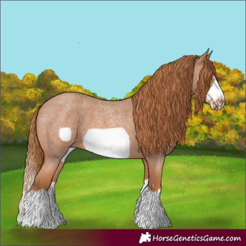 Horse Color:Red Roan Splash Frame