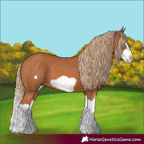 Horse Color:Chestnut Splash Frame