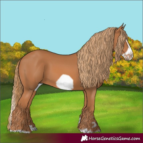 Horse Color:Chestnut Splash Frame