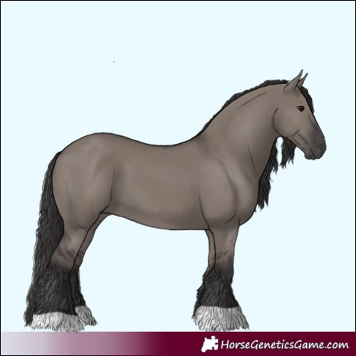 Horse Color:Smoky Grullo 
