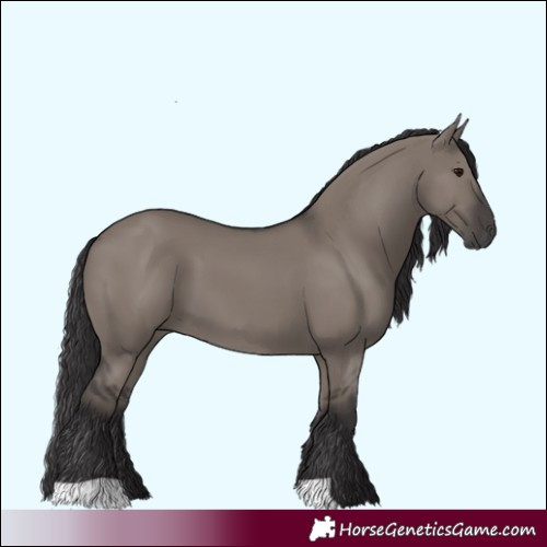 Horse Color:Smoky Grullo