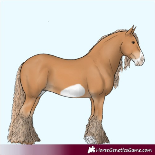Horse Color:Chestnut Frame