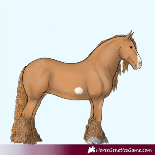 Horse Color:Chestnut Frame