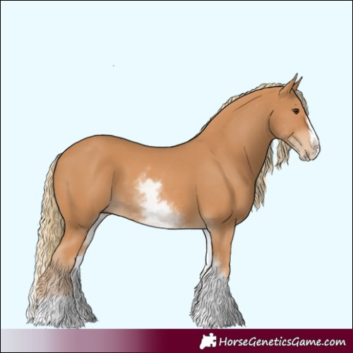 Horse Color:White Spotted Chestnut Splash