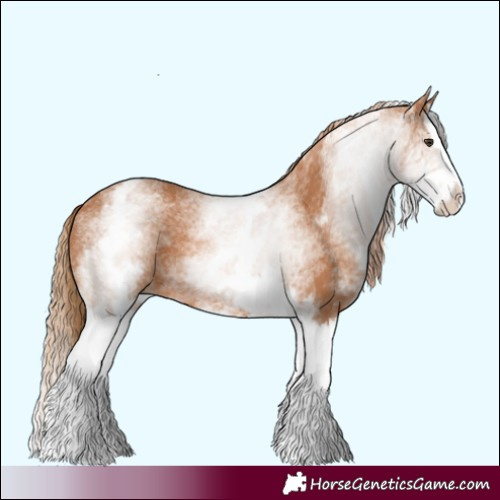 Horse Color:White Spotted Chestnut Splash 