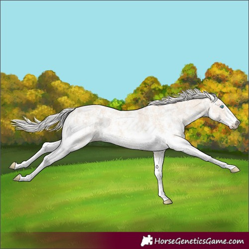 Horse Color:Cremello Sabino  and Cremello Sabino 