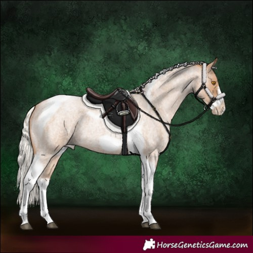 Horse Color:Silver Blue Roan Pearl Tobiano Frame 