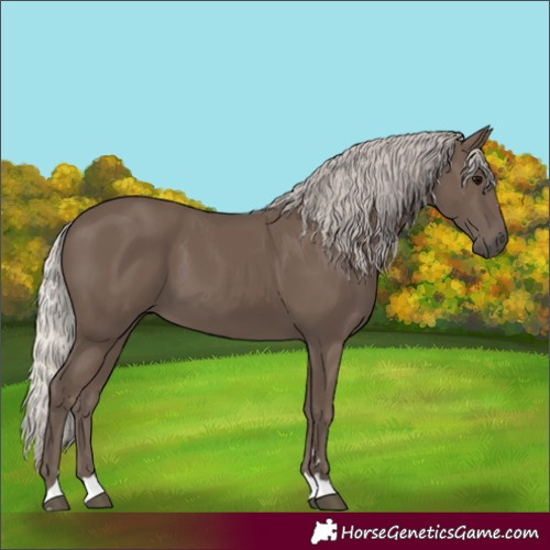 Horse Color:Silver Black