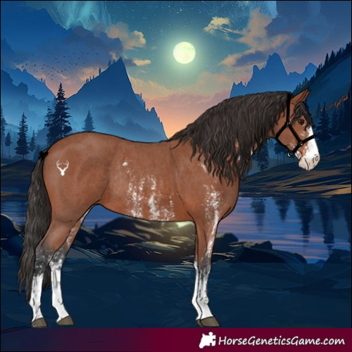 Horse Color:Bay Sabino Rabicano  and Bay Sabino Rabicano 