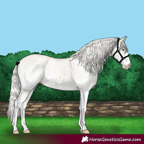 Horse Color:Cremello Dun Sabino  and Cremello Dun Sabino 