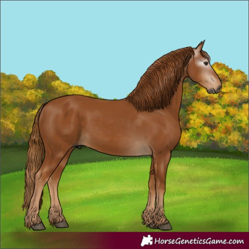 Horse Color:Gray Chestnut