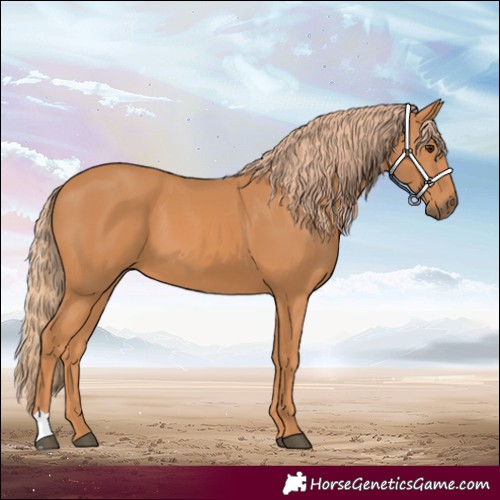 Horse Color:Chestnut 