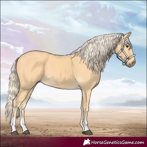 Horse Color:Palomino
