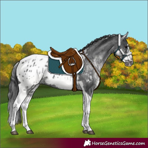 Horse Color:White Spotted Black Splash Tobiano Frame Blanket 