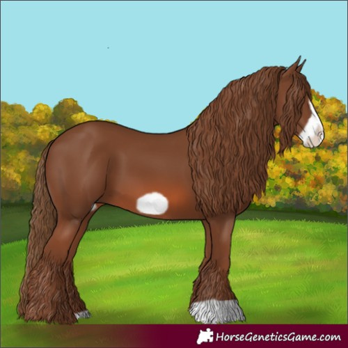 Horse Color:Chestnut Frame 