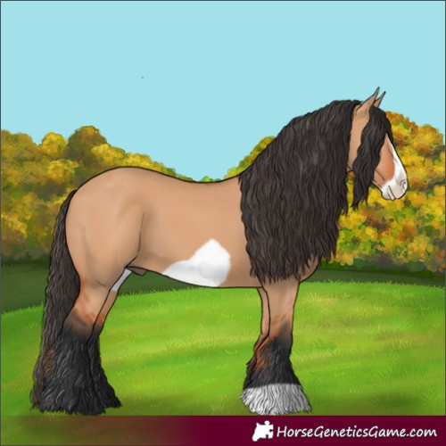 Horse Color:Bay Dun Frame 