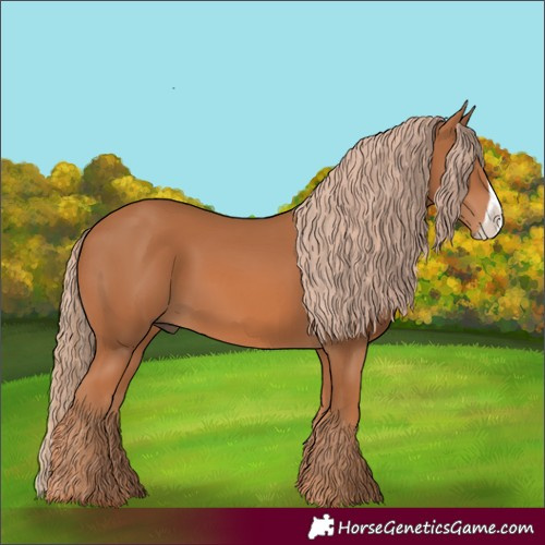 Horse Color:Chestnut Frame 