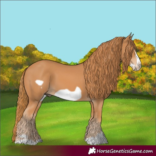 Horse Color:Chestnut Frame