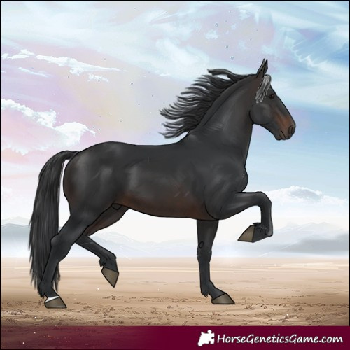 Horse Color:Brown 