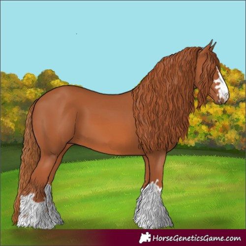 Horse Color:Chestnut 
