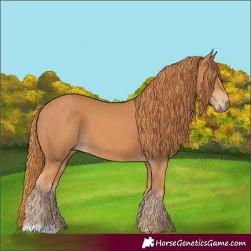Horse Color:Chestnut 