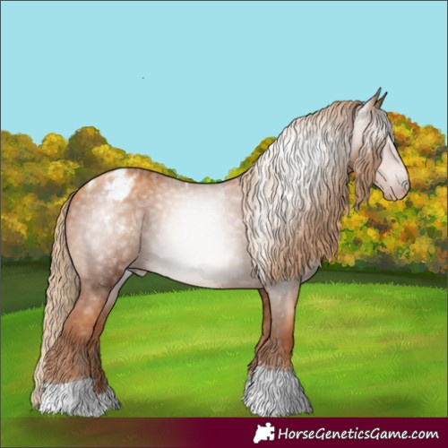 Horse Color:Gray Gold Champagne Tobiano Appaloosa