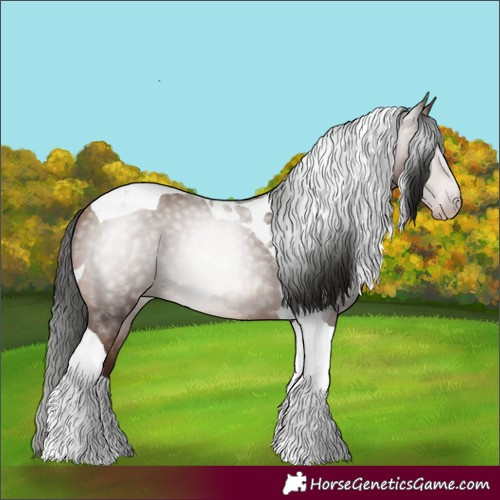 Horse Color:Gray Amber Champagne Tobiano 